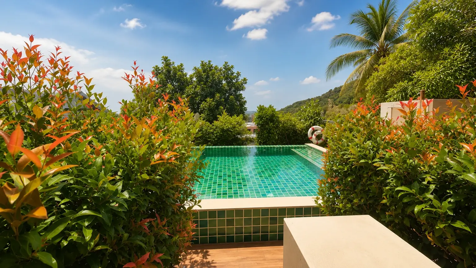 The pool seen from the terrace, between the hedges